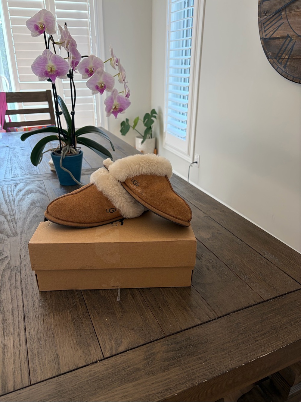 UGG Women's Cozy Sheepskin Slipper - Chestnut with Cream Cuff